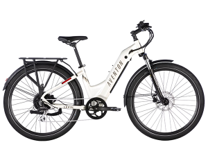 e bike rental service, e bike palm beach, electric bike miami