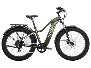 e bike rental service, e bike palm beach, electric bike miami